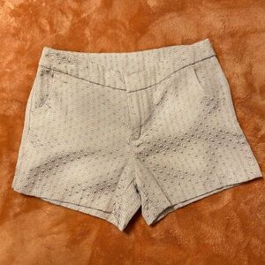 Metaphor Gray High Waist Textured Shorts